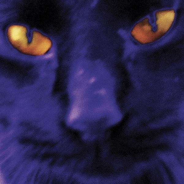 DAVID KILGOUR & THE HEAVY EIGHTS - BOBBIES A GIRL