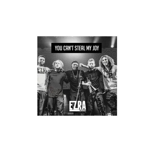 EZRA COLLECTIVE - YOU CAN’T STEAL MY JOY 2LP