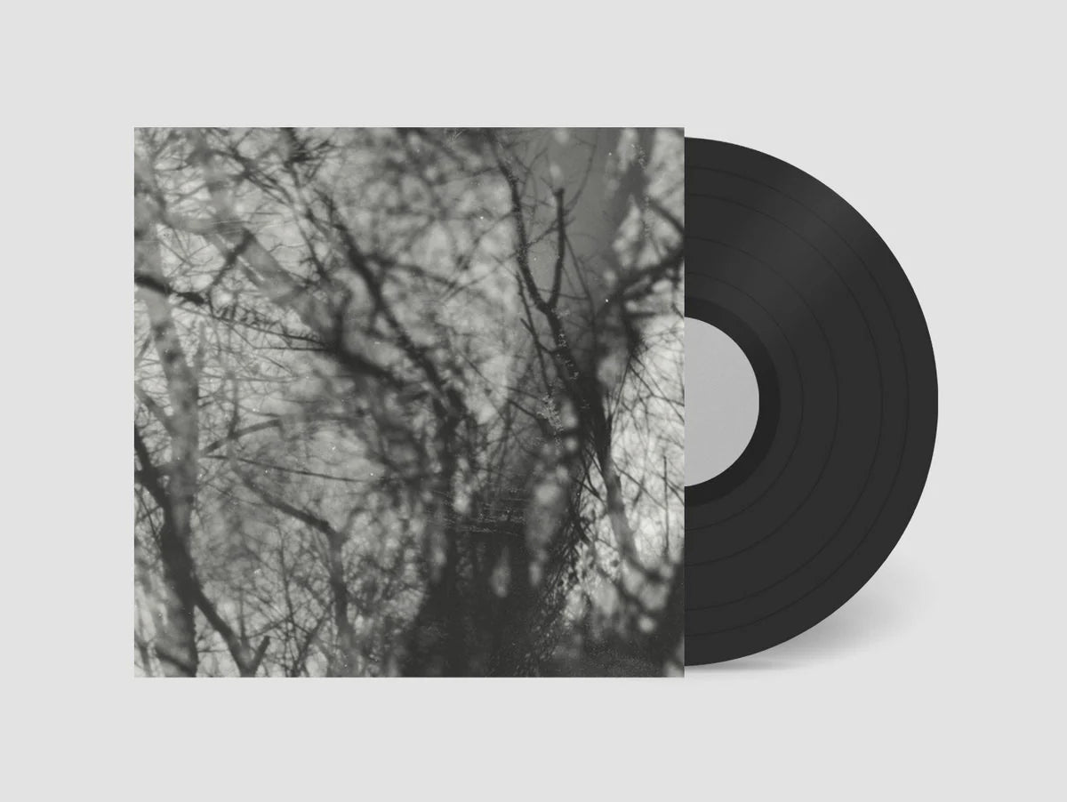 GROUPER - WAY THEIR CREPT