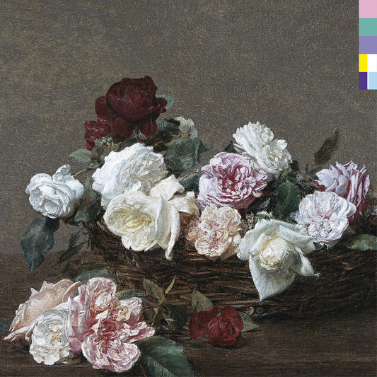 NEW ORDER - POWER, CORRUPTION & LIES
