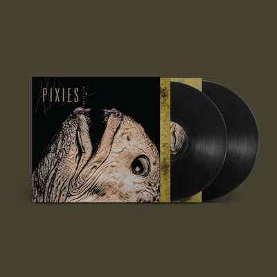 PIXIES - COMPLETE B SIDES 1988-97(BLACK VINYL)