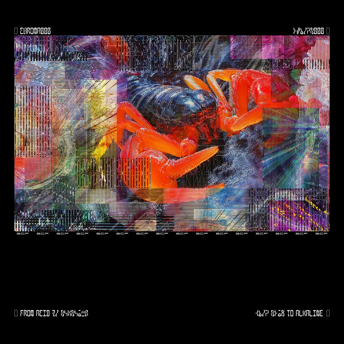 BICEP - CHROMA 000(LTD EDITION ORANGE SLEEVE CASE)