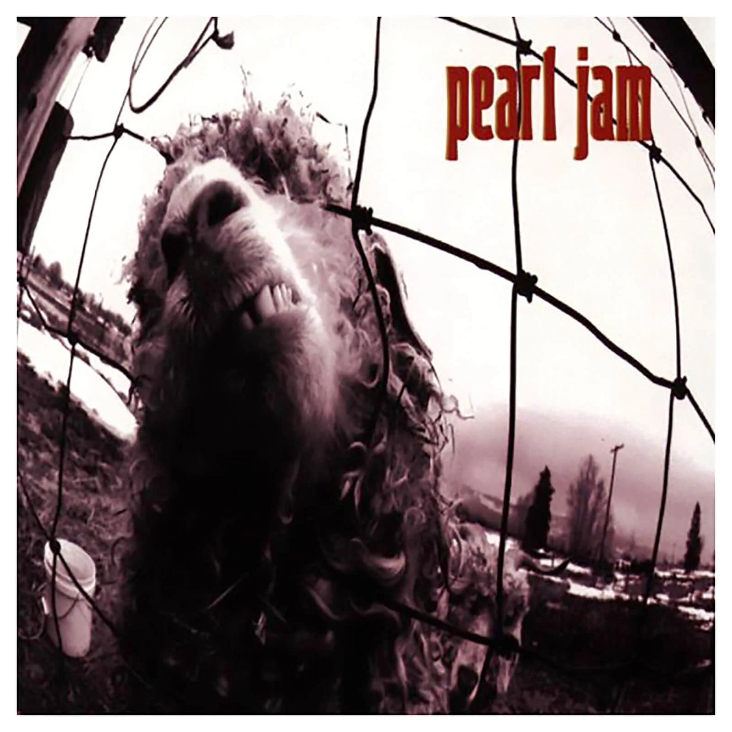 PEARL JAM - VS