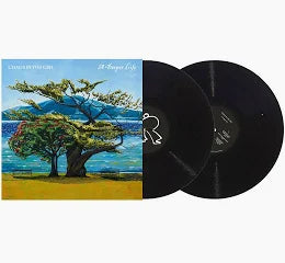 CHAOS IN THE CBD - A DEEPER LIFE(LTD GATEFOLD EDITION) 2LP