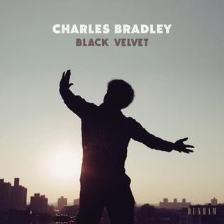 CHARLES BRADLEY - BLACK VELVET