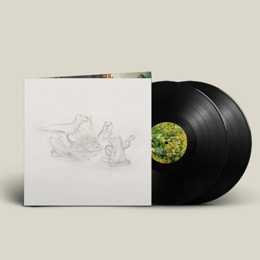 BIG THIEF - DRAGON NEW WARM MOUNTAIN I BELIEVE IN YOU 2LP