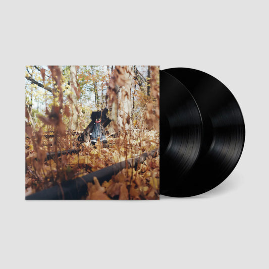 BILLY WOODS - GOLLIWOG 2LP