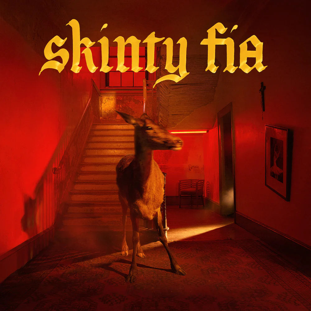 FONTAINES DC - SKINTY FIA