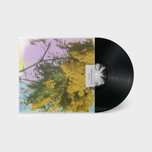 FOUR TET - INTO DUST STILL FALLING 12”
