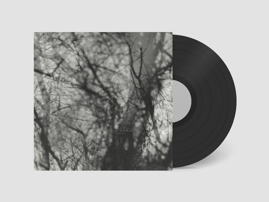 GROUPER - WAY THEIR CREPT