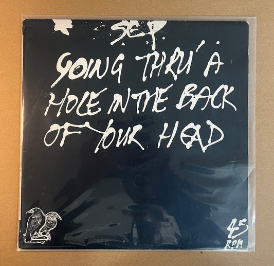 SCORCHED EARTH POLICY - GOING THRU A HOLE IN THE BACK OF YOUR HEAD(RARE FLYING NUN EP FROM 1986) SLEEVE - VG / RECORD - NM