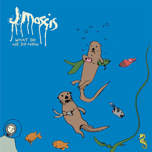 J MASCIS - WHAT DO WE DO NOW, LOSER?