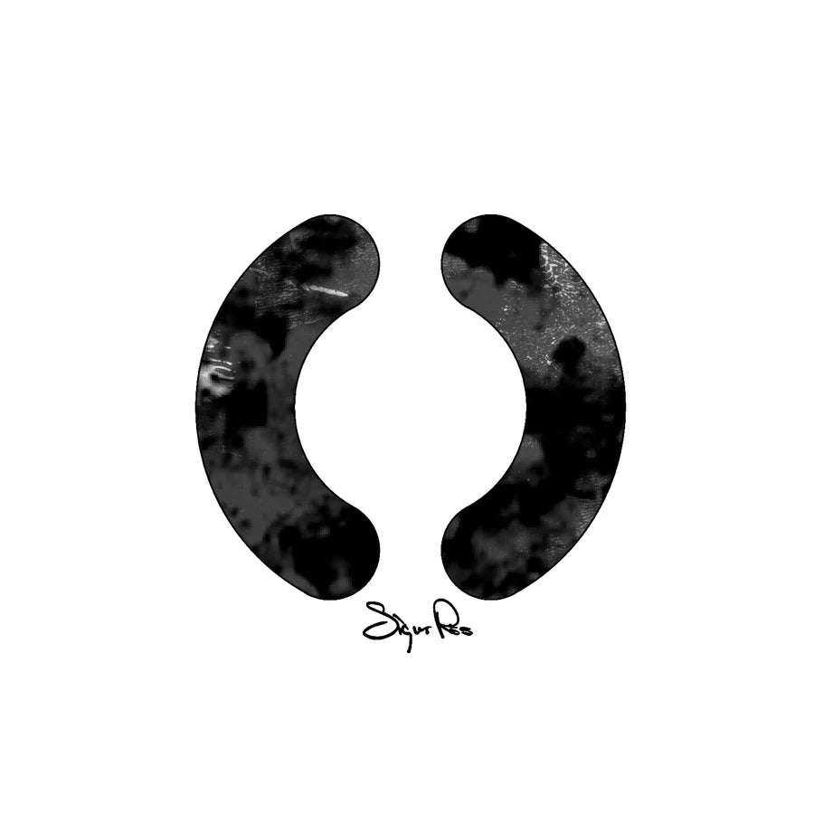 SIGUR ROS - ( )