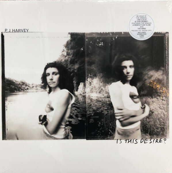 PJ HARVEY - IS THIS DESIRE?