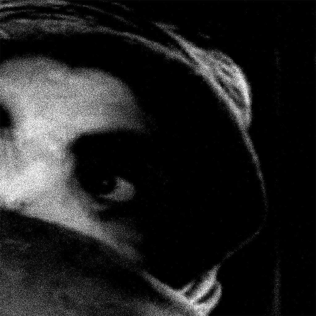 THE BODY - THE CRYING OUT OF THINGS