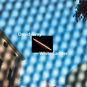 DAVID GRAY - WHITE LADDER