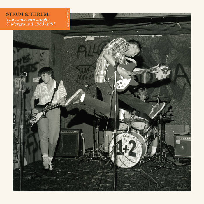 STRUM & THRUM:THE AMERICAN JANGLE UNDERGROUND 1983 - 1987 - VARIOUS ARTISTS 2LP