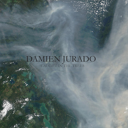 DAMIEN JURADO - CAUGHT IN THE TREES