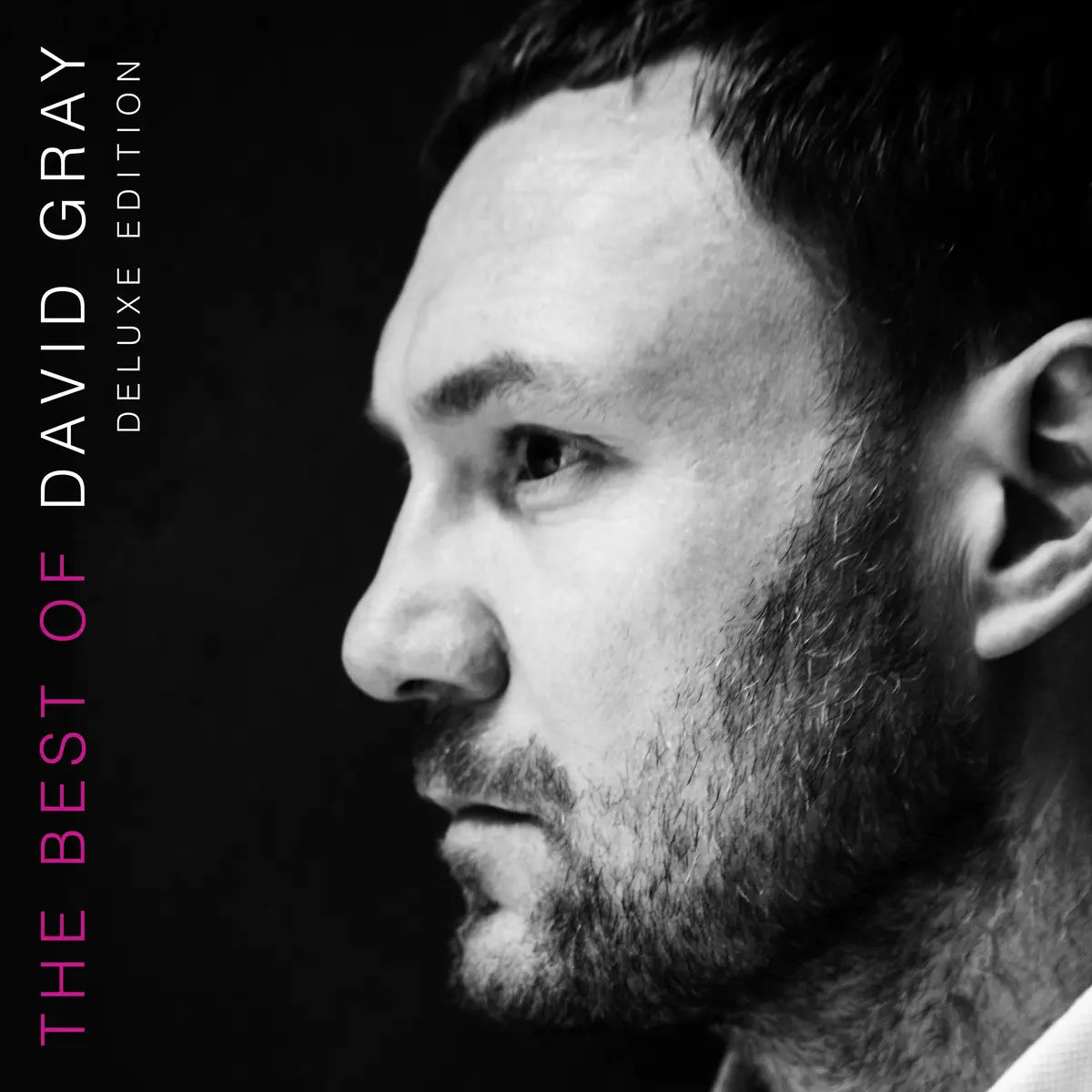 DAVID GRAY - THE BEST OF..2LP