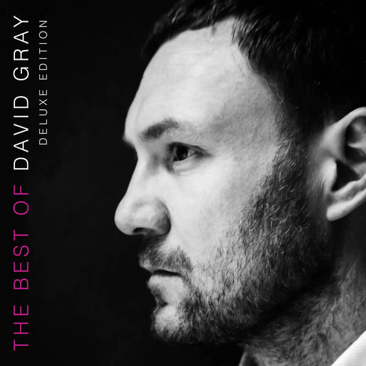 DAVID GRAY - THE BEST OF..2LP