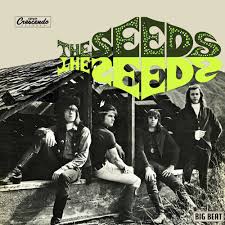 THE SEEDS - THE SEEDS 2LP