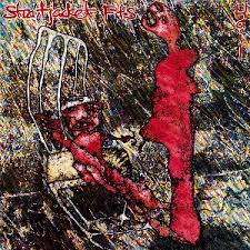 STRAITJACKET FITS - HAIL