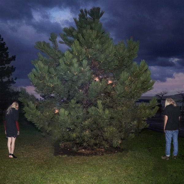 100 GECS - 1000 GECS