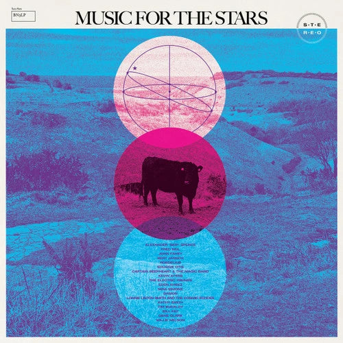 MUSIC FOR THE STARS - VARIOUS ARTISTS 2LP