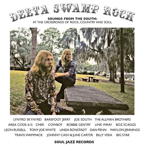 DELTA SWAMP ROCK - SOUNDS FROM THE SOUTH: AT THE CROSSROADS OF ROCK, COUNTRY AND SOUL 2LP