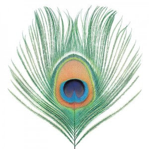 XTC - APPLE VENUS(VOL.1)