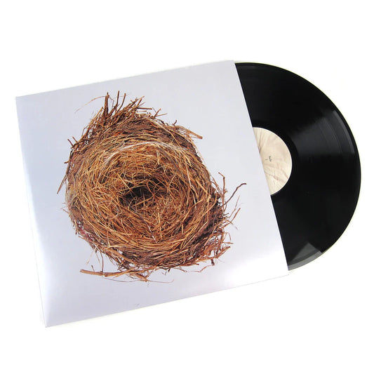 WILCO - A GHOST IS BORN