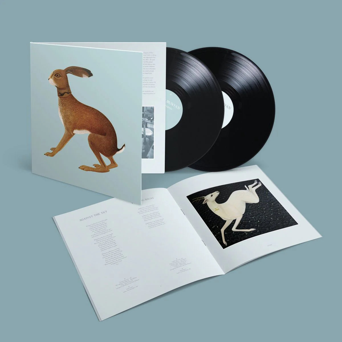 VASHTI BUNYAN - LOOKAFTERING EXPANDED 2LP